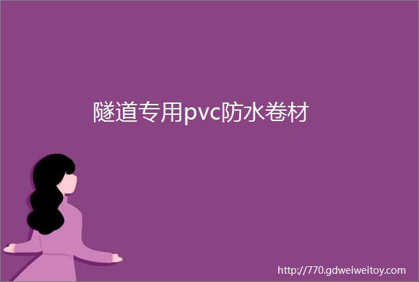 隧道专用pvc防水卷材